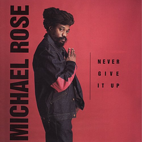 Never Give It Up