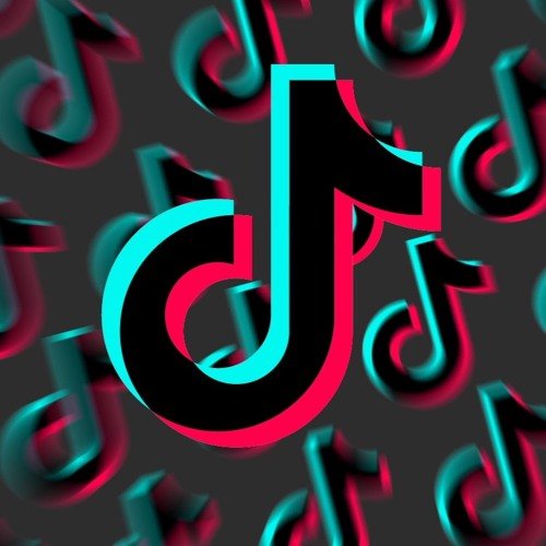 Cause I Beat That Boy With a Bat Smack! (Tik Tok Best Part) [Remix]