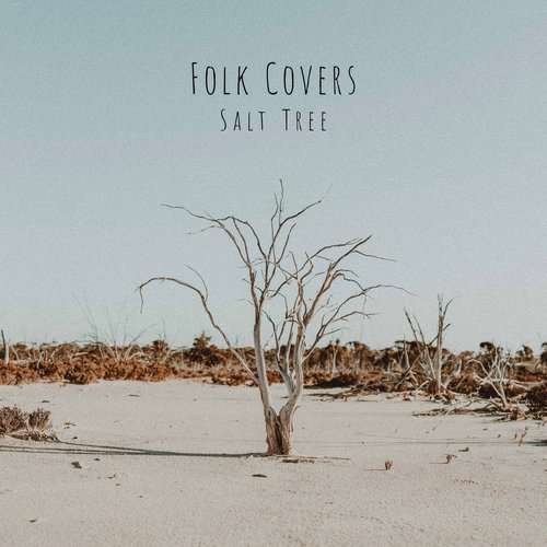 Folk Covers