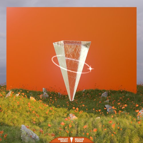 The Visitor