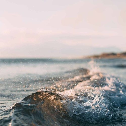 Along the Coast