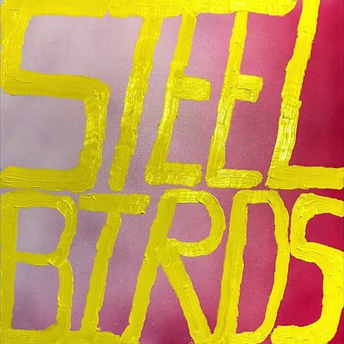 Steel Birds