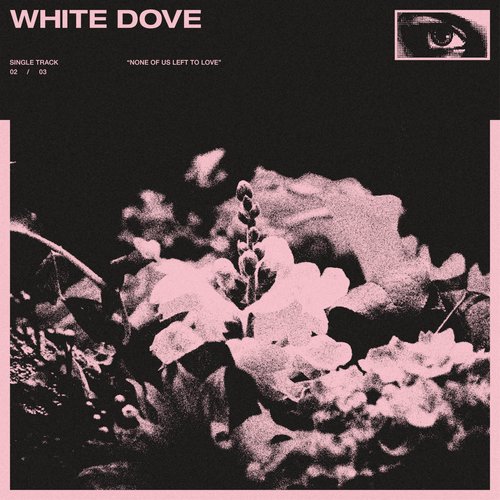 White Dove