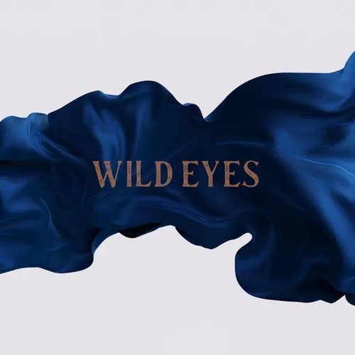 Wild Eyes - Single