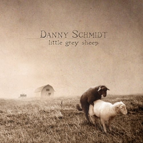 Little Grey Sheep