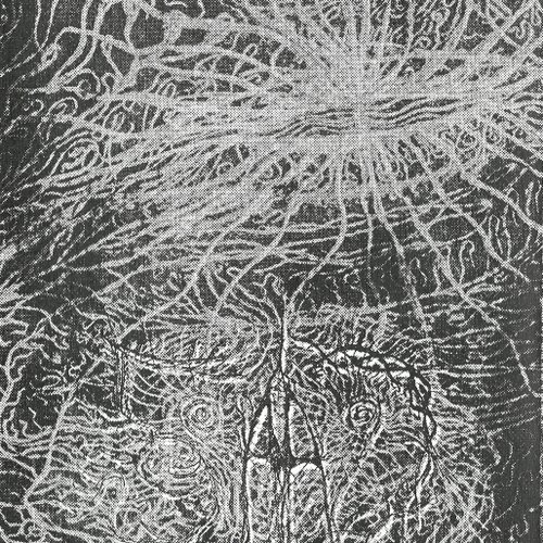 The Quantum Consciousness