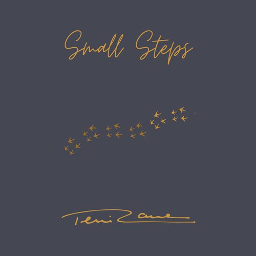 Small Steps