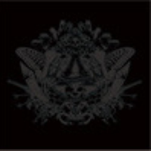BLACK ALBUM