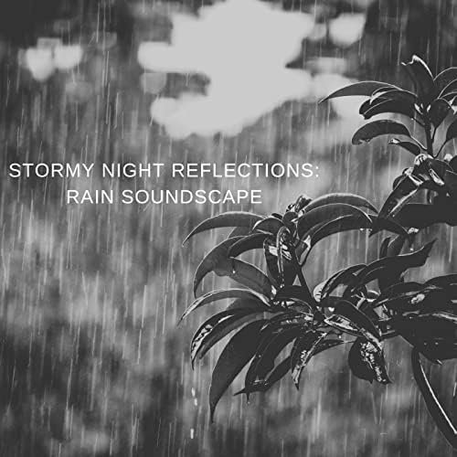 Stormy Night Reflections: Rain Soundscape