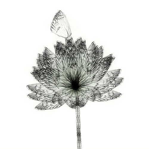 breath