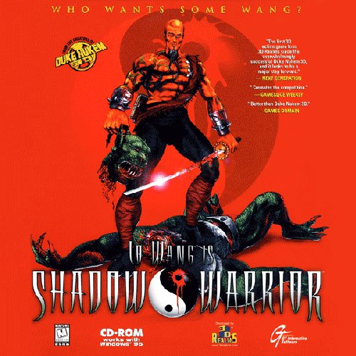 Shadow Warrior