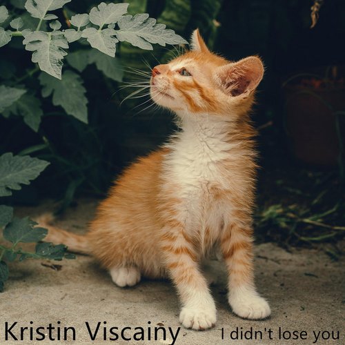 I didn't lose you