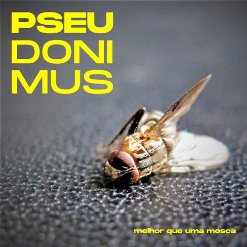 Melhor Que uma Mosca
