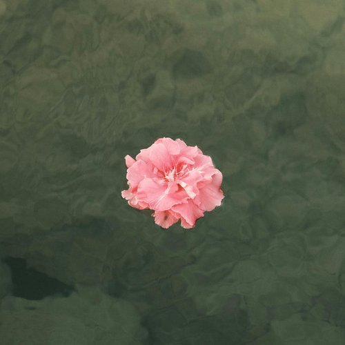 Nothing To Do But Dream (Fall)