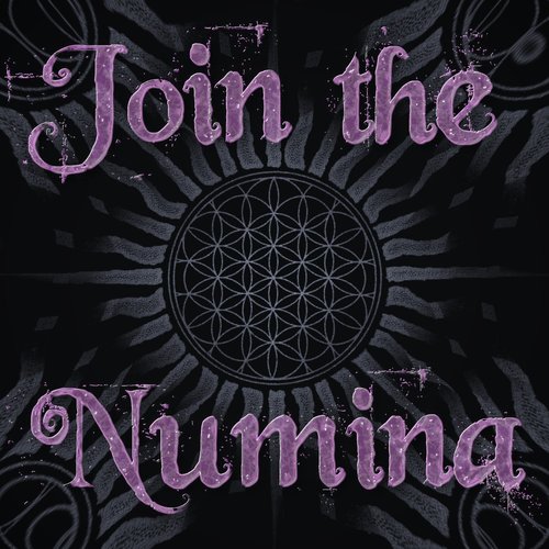 Join the Numina