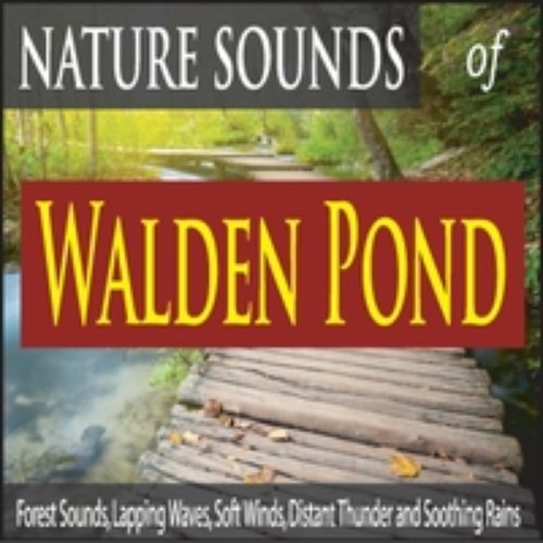 Nature Sounds of Walden Pond: Forest Sounds, Lapping Waves, Soft Winds, Distant Thunder and Soothing Rains