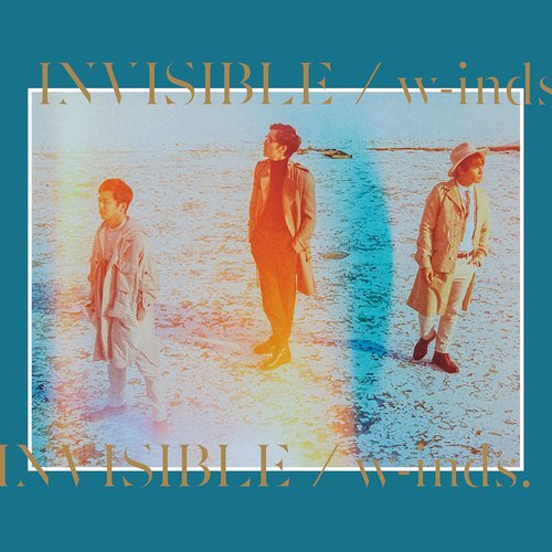 Invisible (Standard Edition)