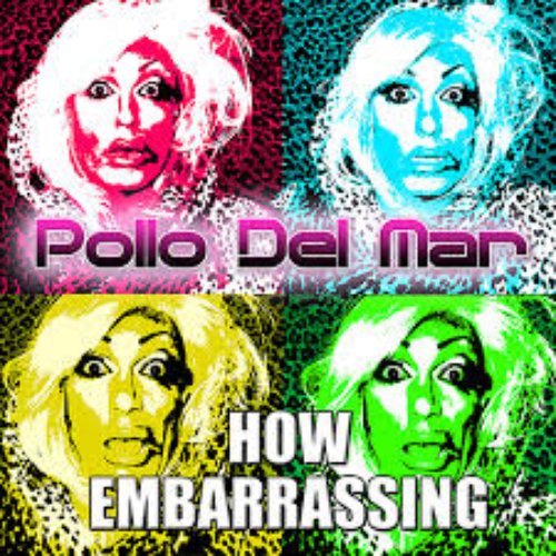 How Embarrassing - Single