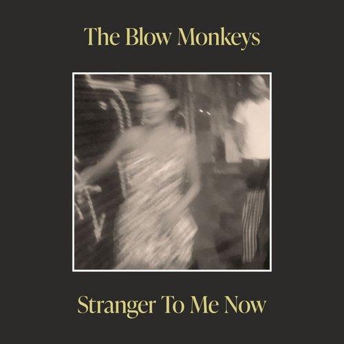 Stranger To Me Now (Streaming Version)