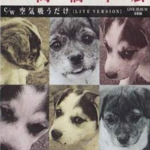 元気ならうれしいね