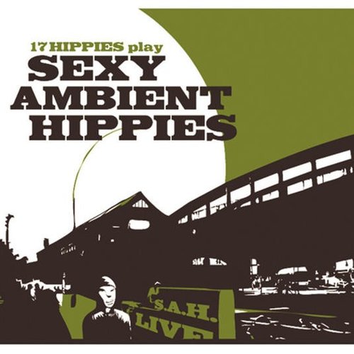 17 Hippies Play Sexy Ambient Hippies
