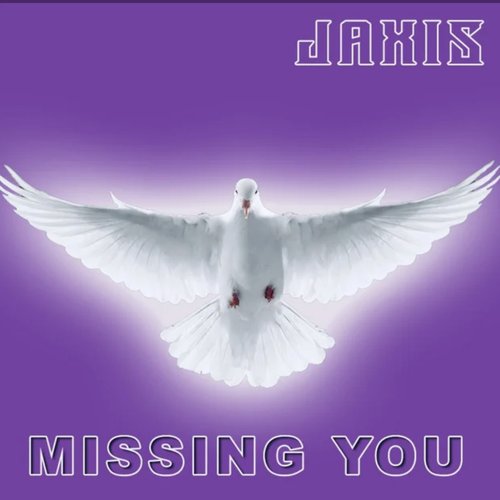 Missing You - Single