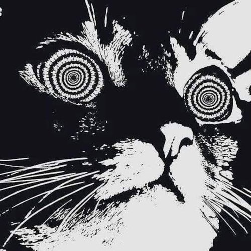 The Unknowing - Single