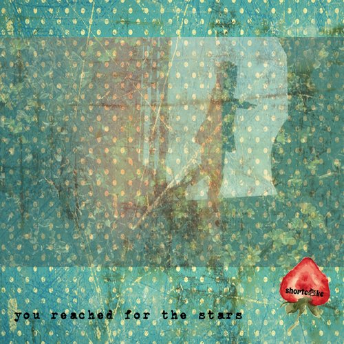 You Reached for the Stars
