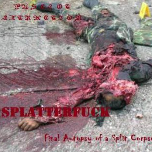 Final Autopsy of a Split Corpse