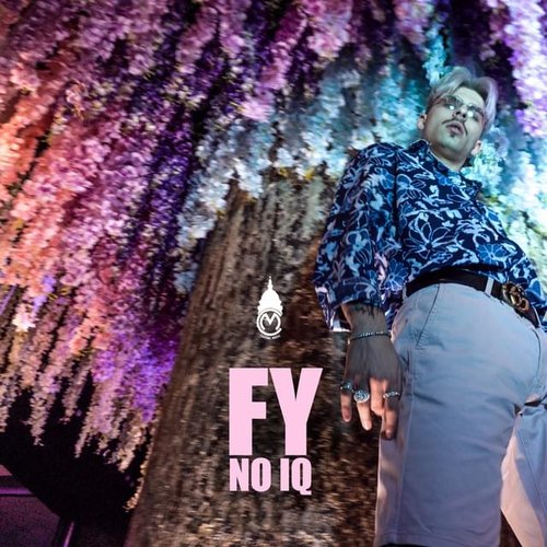 No IQ - Single
