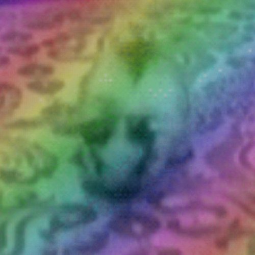 funee bunee gif