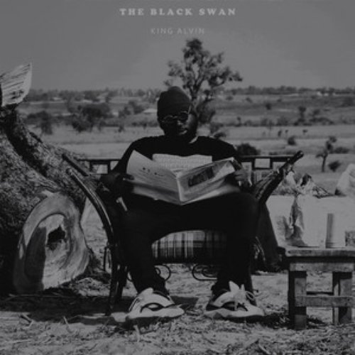 The Black Swan