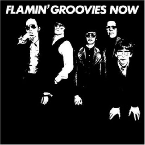 Flamin' Groovies Now