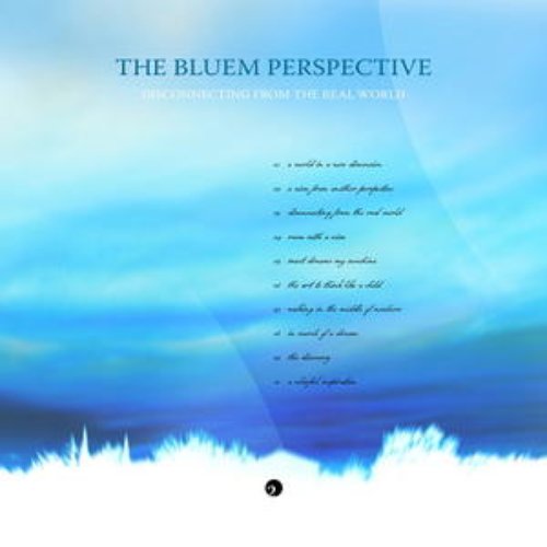 The Bluem Perspective - A world in a new dimension