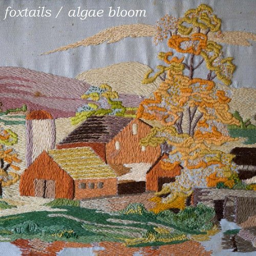 split w/ foxtails