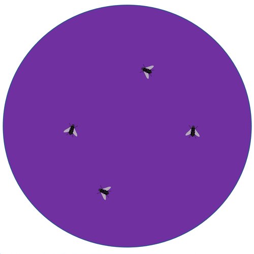 Will She Ever Be A Friend of Mine - Single