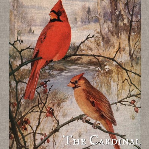 The Cardinal