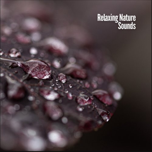 Relaxing Nature Sounds