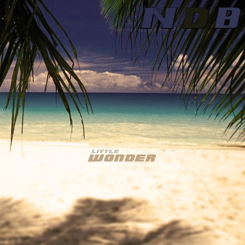 Little Wonder