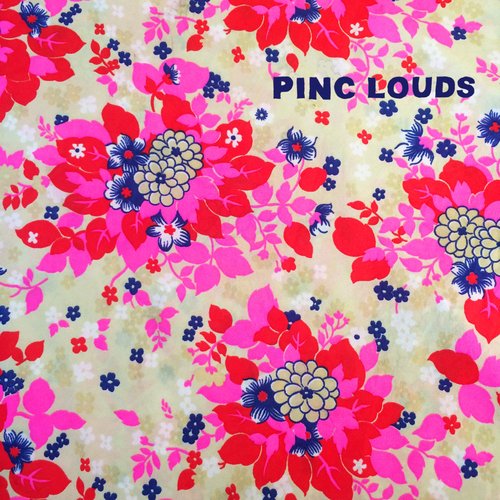 Pinc Louds