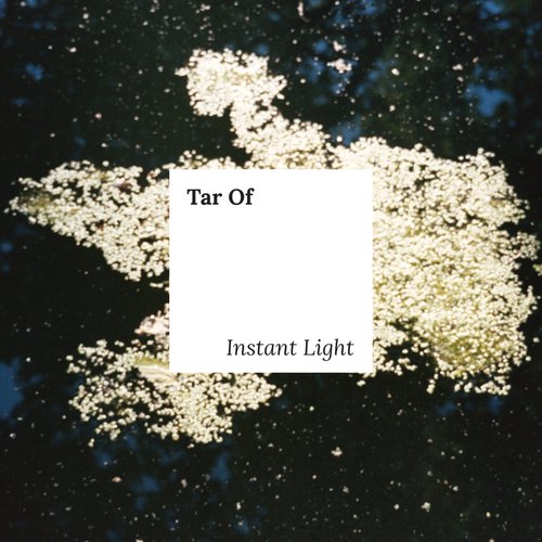 Instant Light