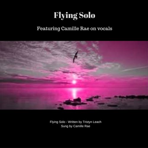 Flying Solo (feat. Camille Rae)