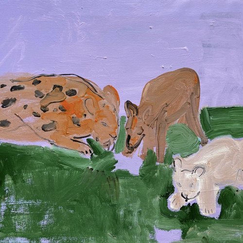 Животные пьют из луж