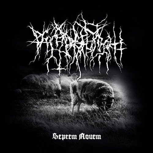 Septem Novem