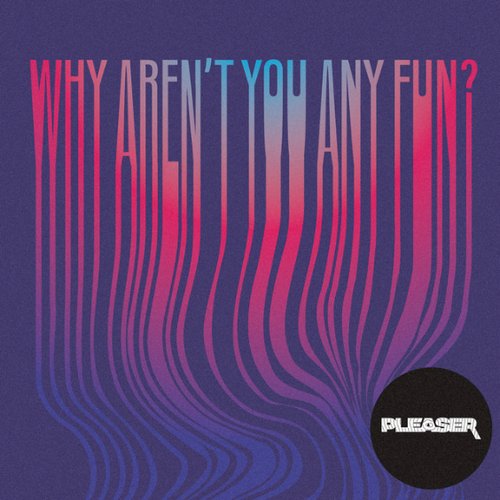Why Aren't You Any Fun? - EP
