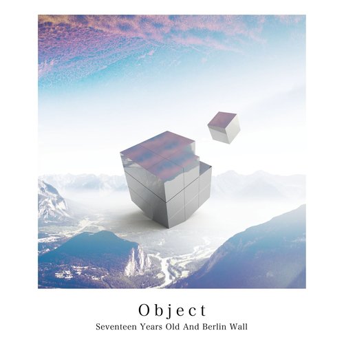 Object