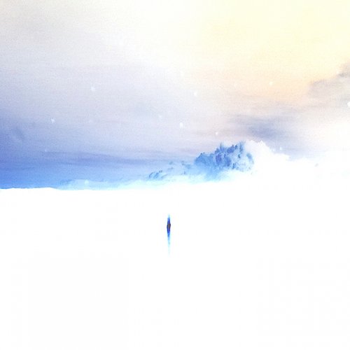 Chocolate Cosmos - Single