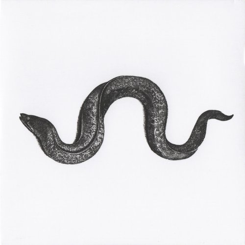 Eel II (reduction) - Single
