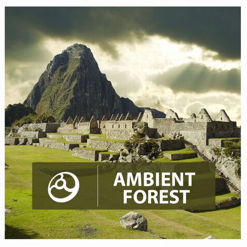 Ambient Forest