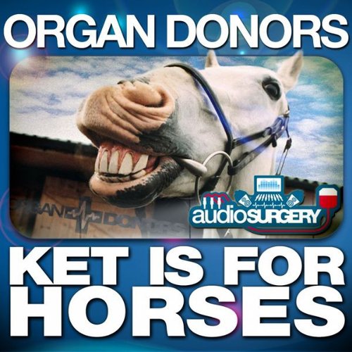 Ket Is For Horses